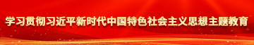 情射操逼美女大洋马学习贯彻习近平新时代中国特色社会主义思想主题教育